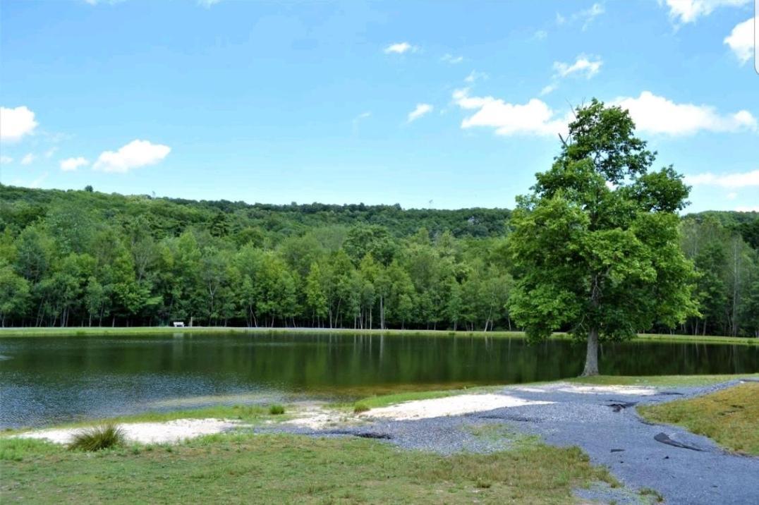 *Amenity-Filled Waterfront Oasis @Saw Creek Estates Near Waterfalls And Hiking* East Stroudsburg Bagian luar foto